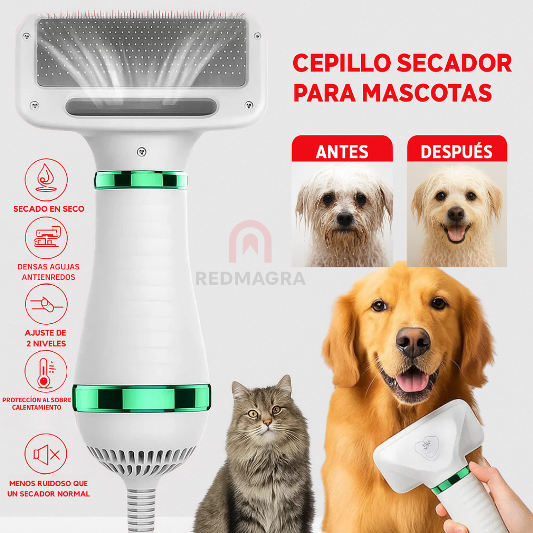 Cepillo secador 2 en 1